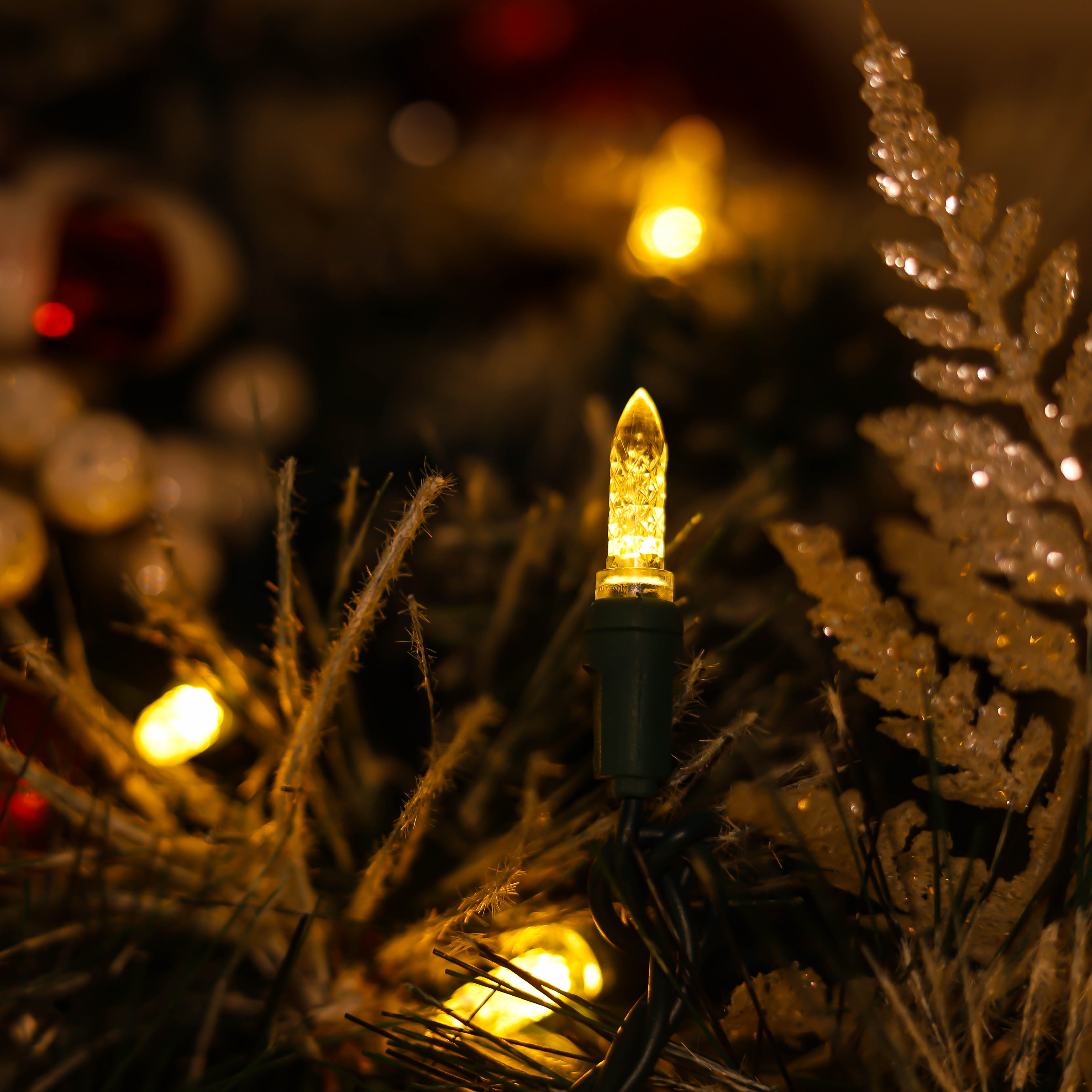 Luzes de Natal LED M5 brancas quentes com certificação UL