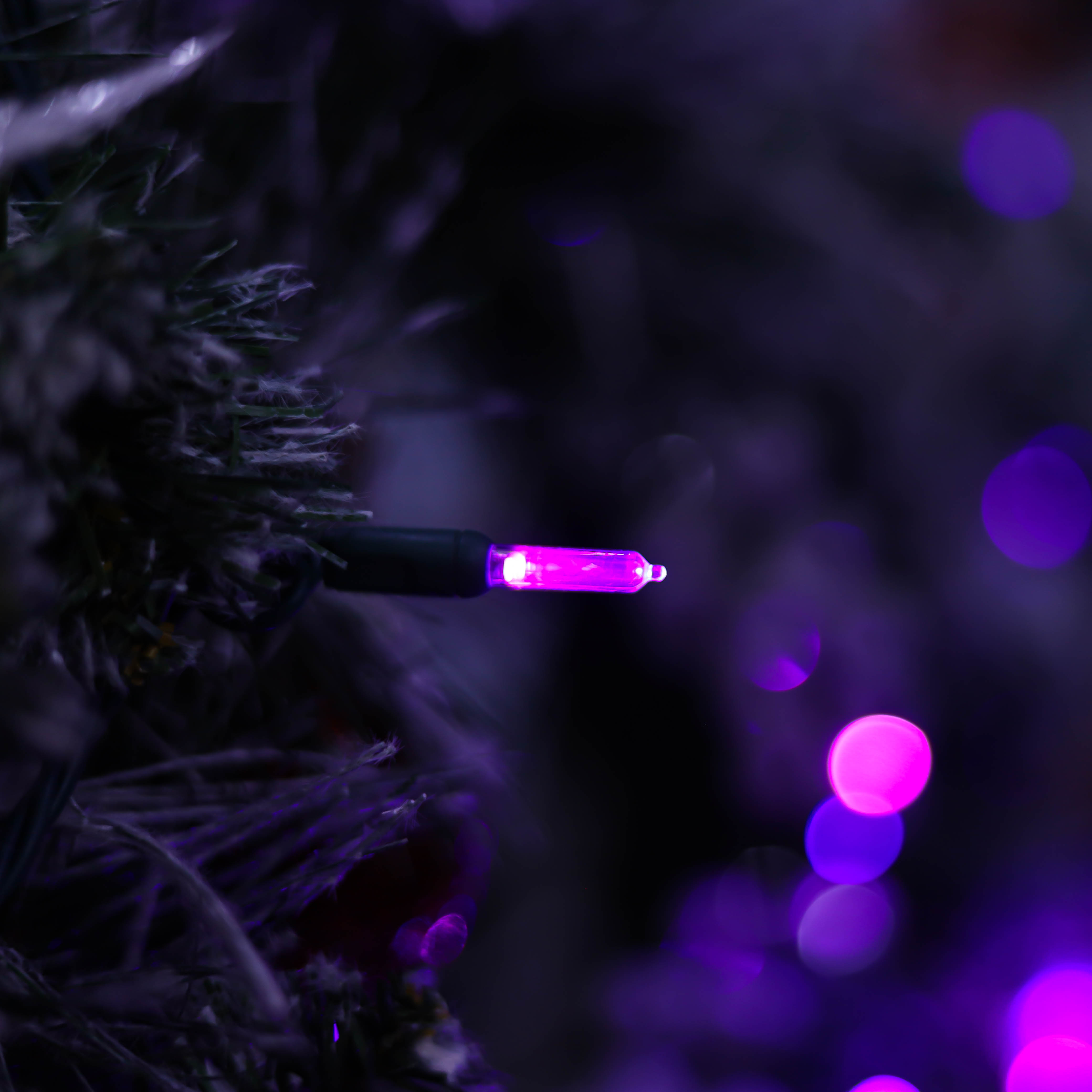 UL T5 LED Luzes de corda Luz roxa de Natal Luz de Halloween