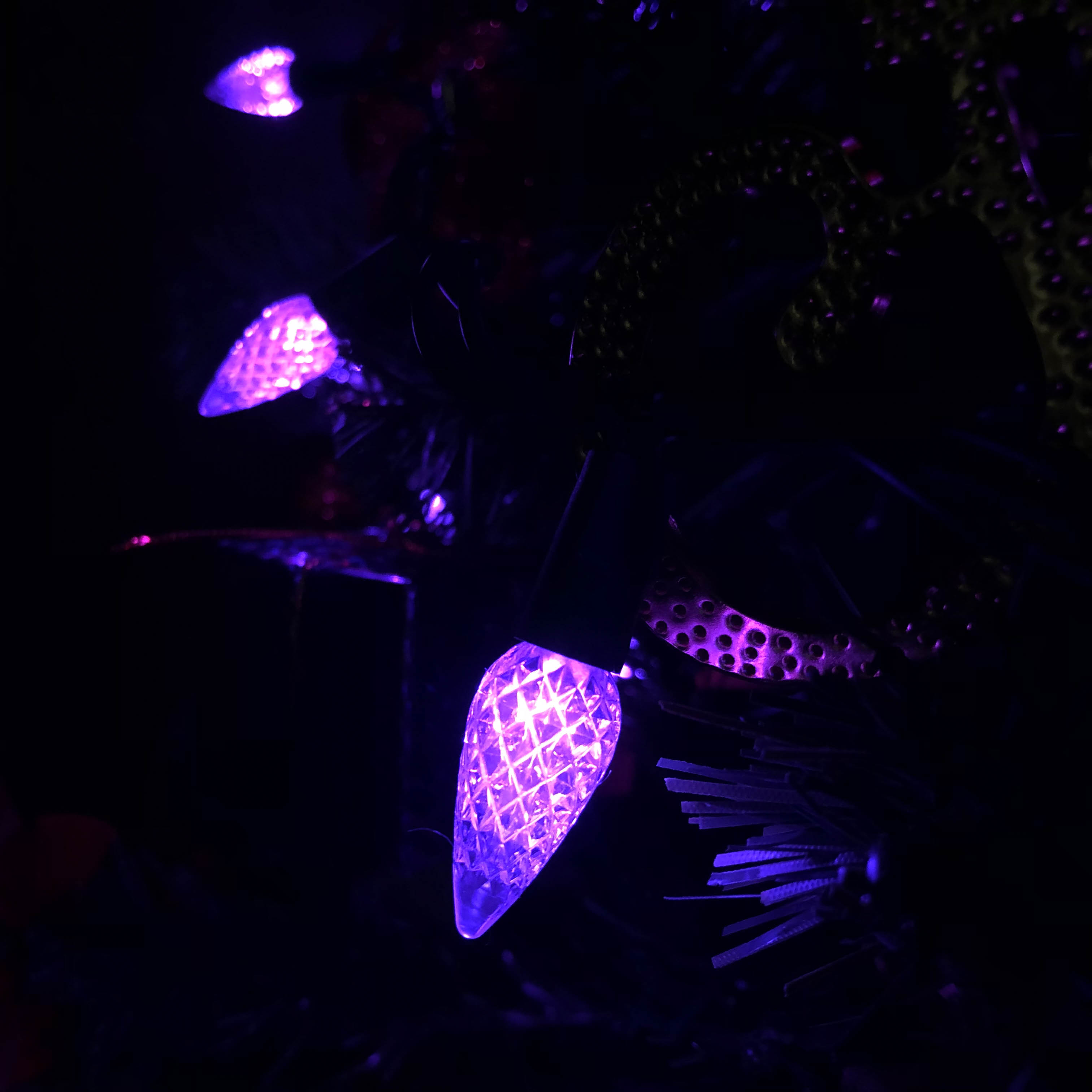 C6 Morango LED String Lights UL Conjunto de Luz Roxa