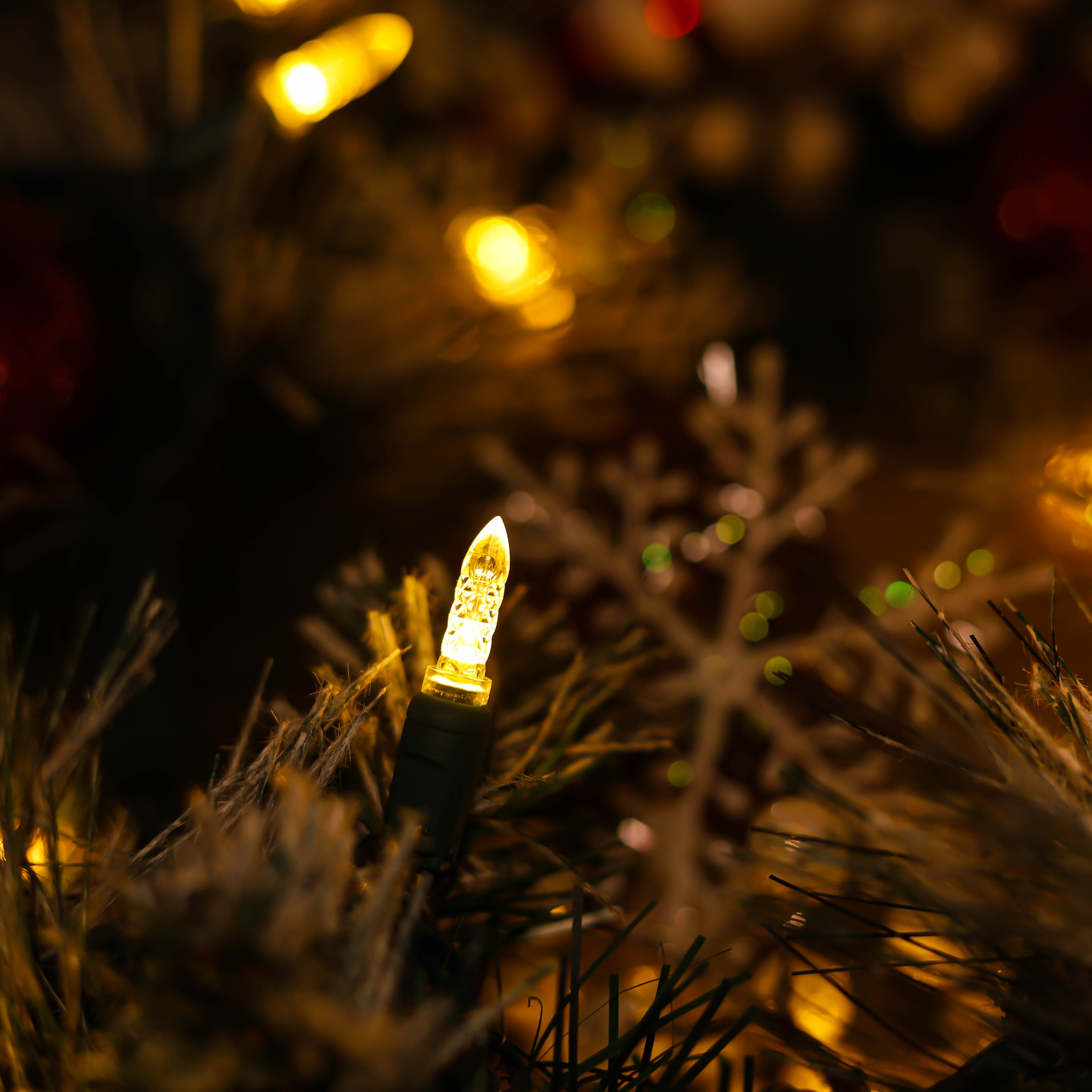 Luzes de Natal LED M5 brancas quentes com certificação UL