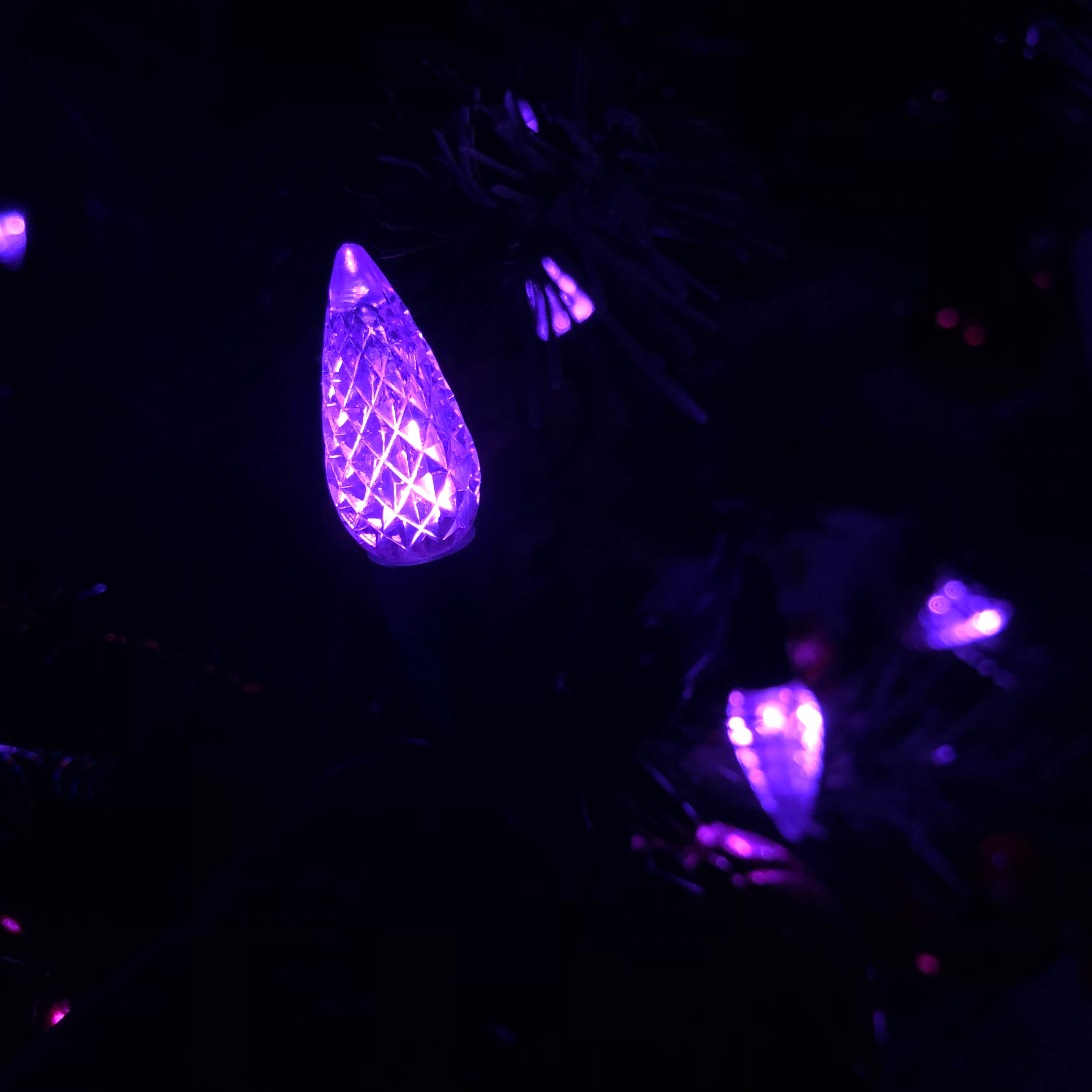 C6 Morango LED String Lights UL Conjunto de Luz Roxa