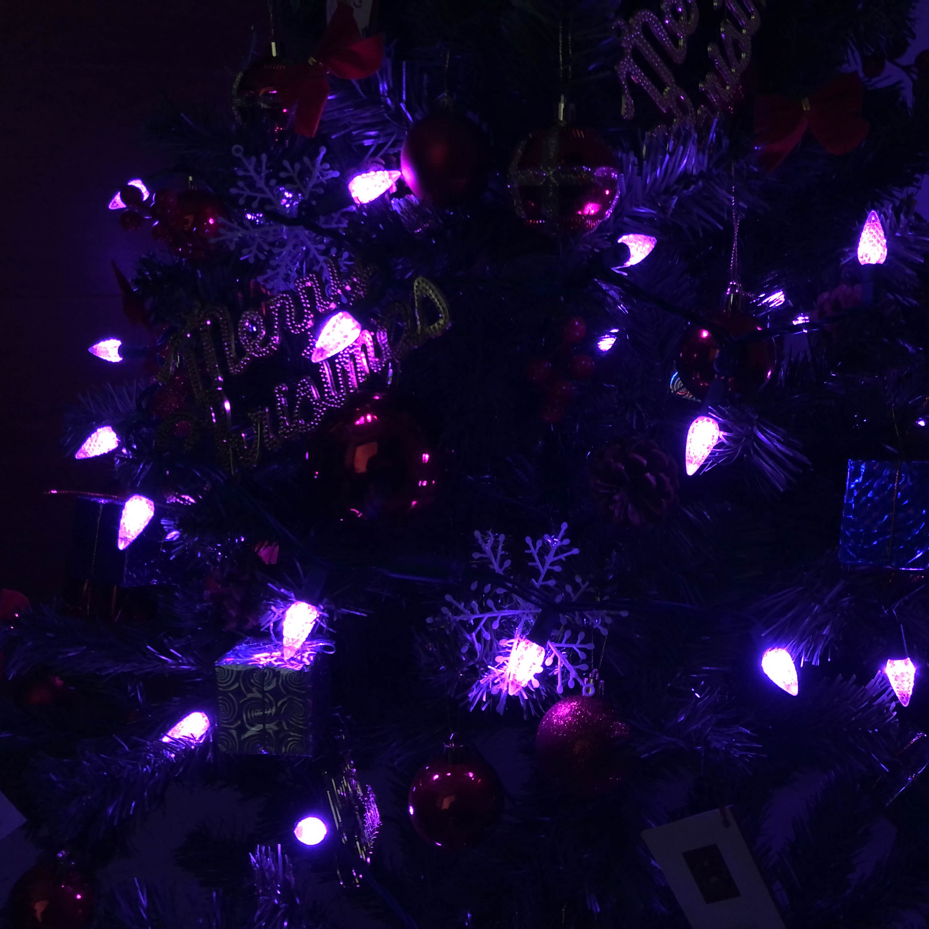 C6 Morango LED String Lights UL Conjunto de Luz Roxa