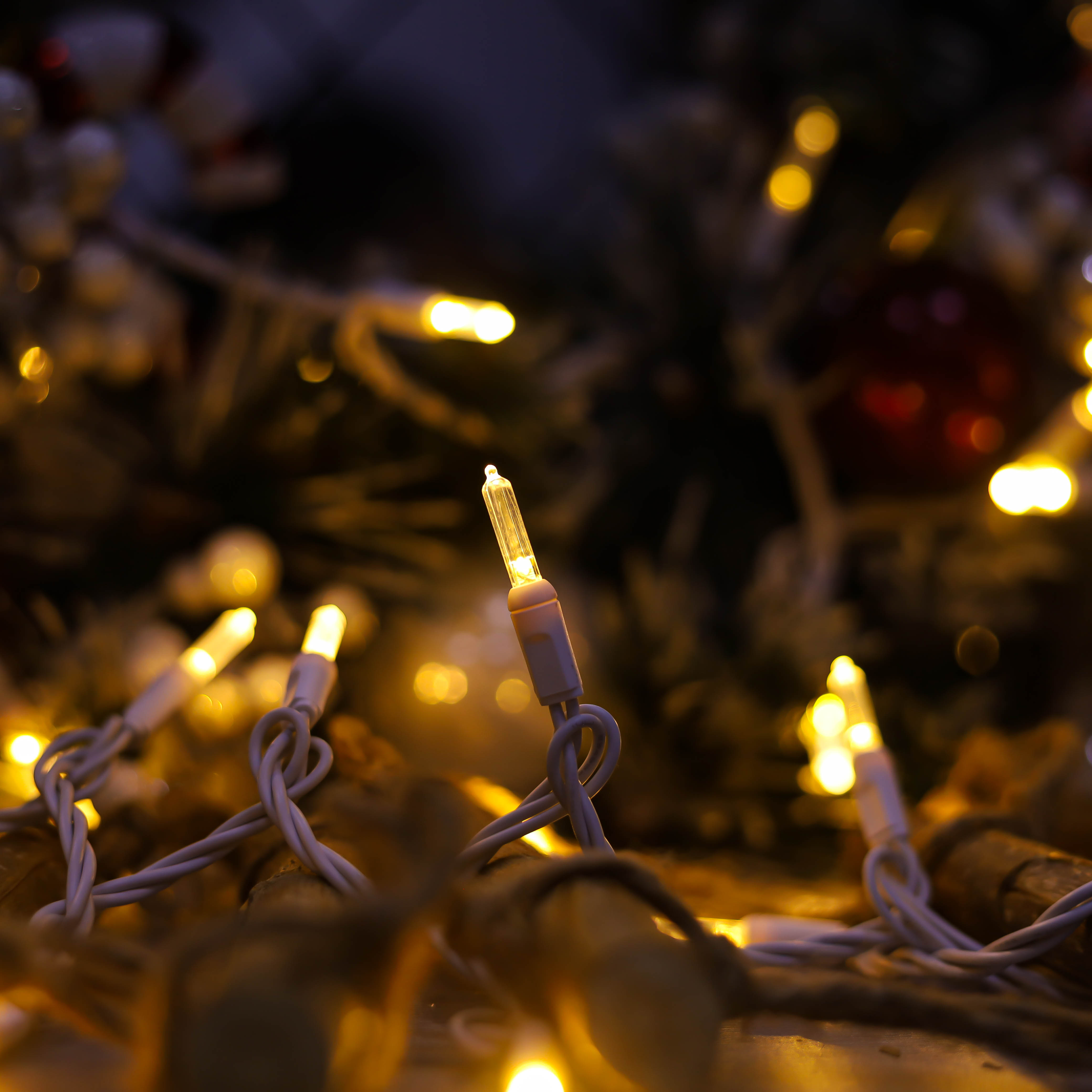 T5 Luzes LED de Natal Ul Warm White UL